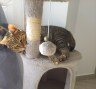 Lucky (2)8